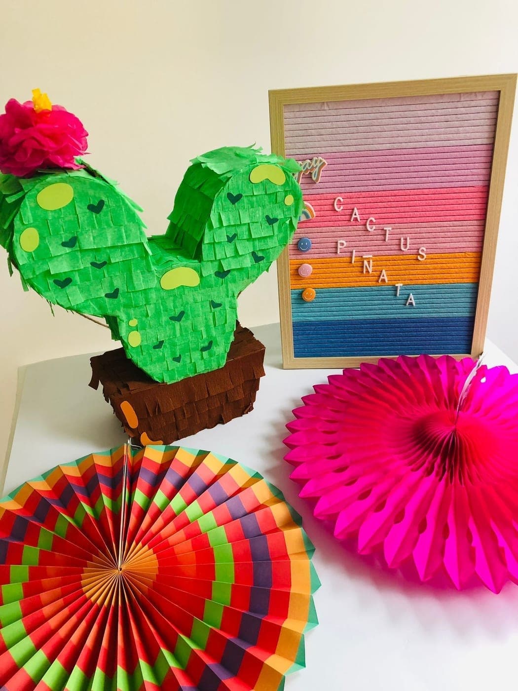 Cactus Mexican Pinata